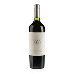 VINO TINTO AVANTI SYRAH 2022